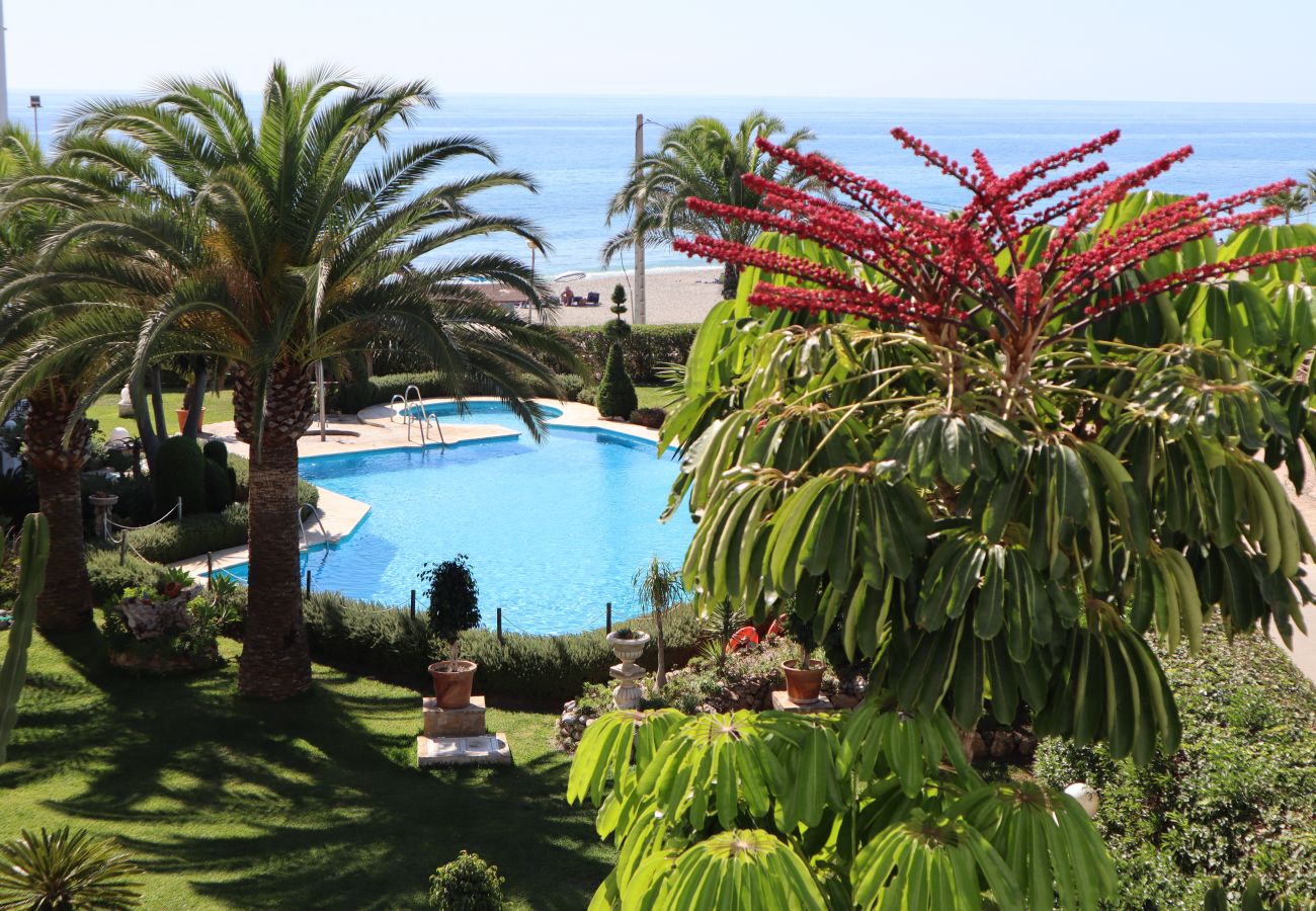 Apartamento en Nerja - Stella Maris Beachfront 1B by Casasol 