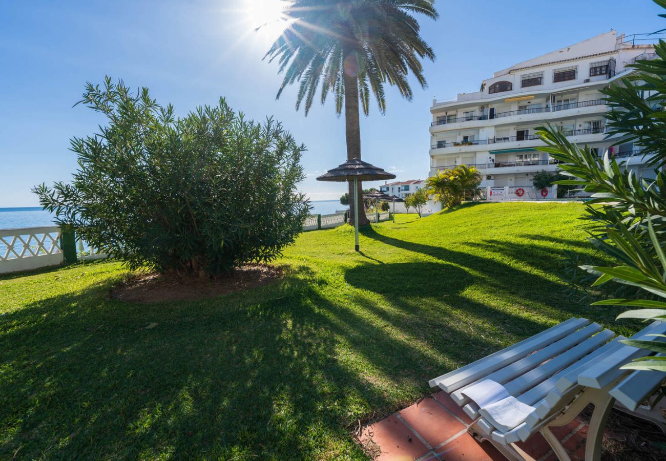 Jardines cuidados alrededor de la piscina del complejo Acapulco Playa