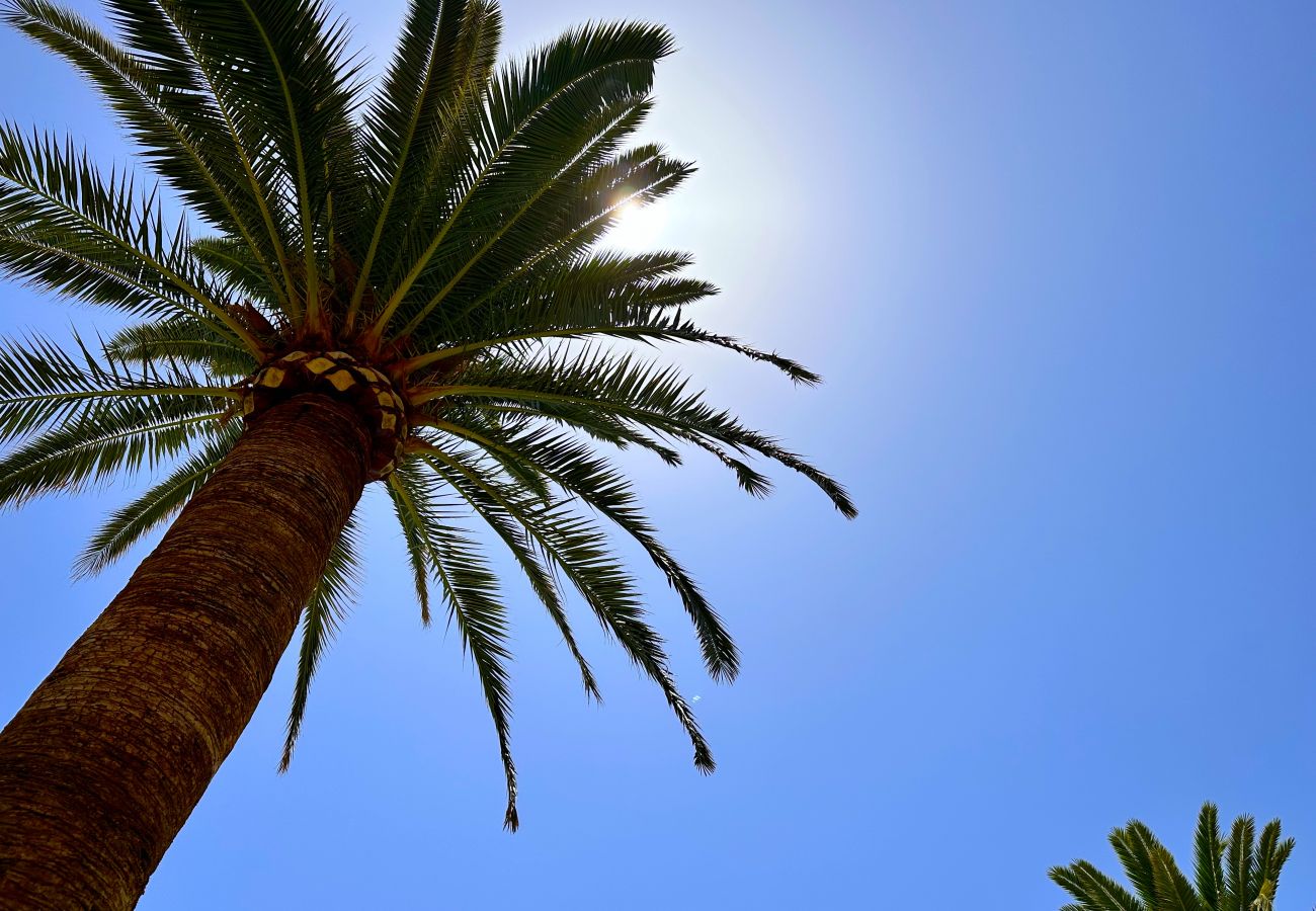 Estudio en Nerja - Carabeo 26 Boutique Studio by Casasol 