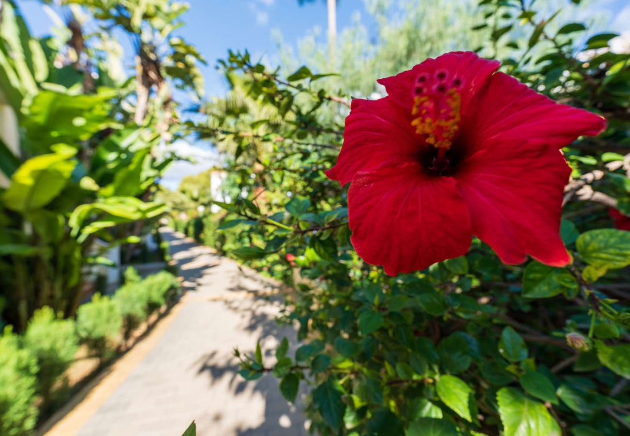 Casa adosada en Nerja - Jardines de Burriana Deluxe by Casasol 