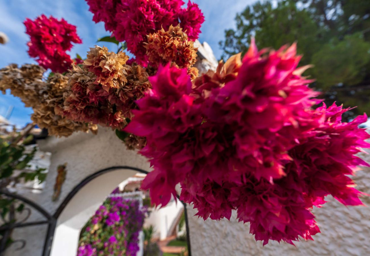 Apartamento en Nerja - Casa Tranquila: Apartamento con vistas al mar en San Juan de Capistrano, Nerja