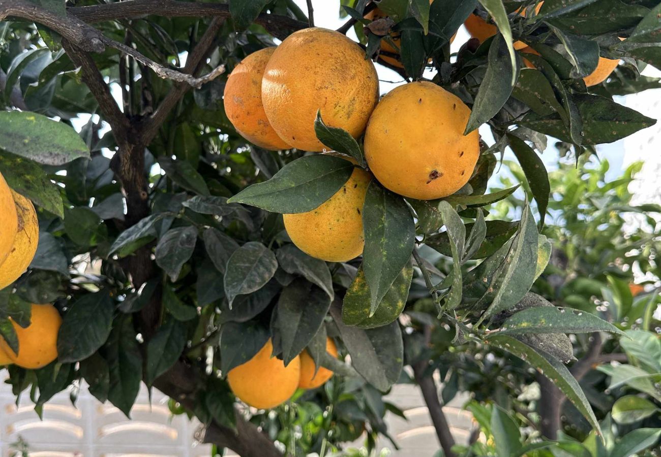 Villa en Nerja - Villa Jackson (La Casita): Villa con Piscina Privada en Fuente del Badén, Nerja
