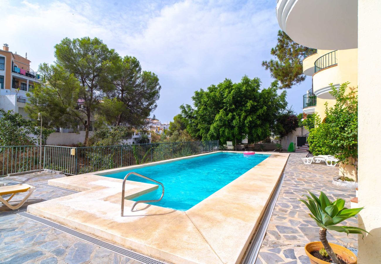 Piscina Comunitaria Urbanización Las Flores de Burriana en Nerja 